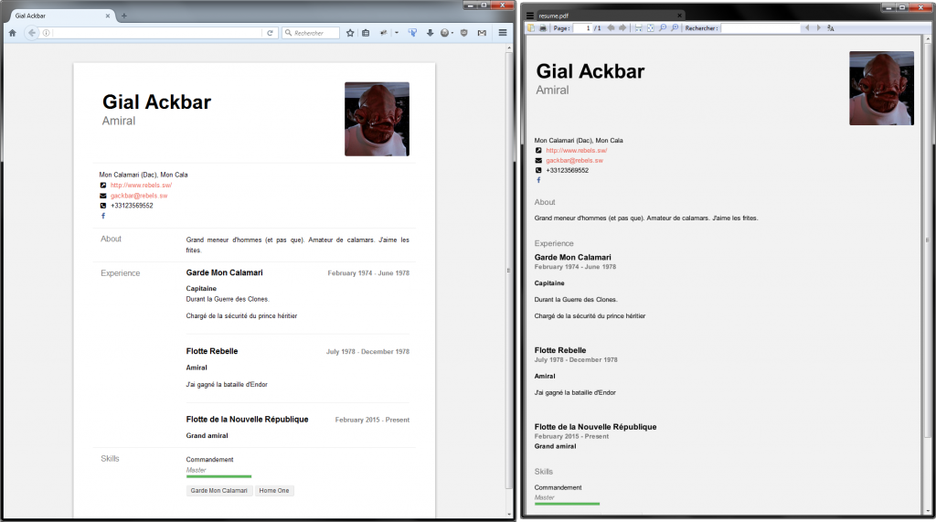 Exemple JSON Resume